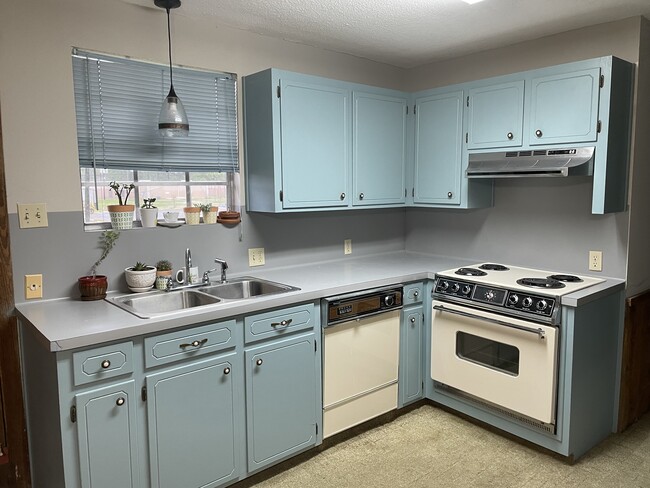 kitchen - 10258 Joor Rd Unit 1