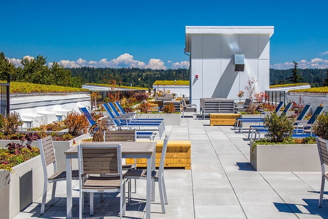 Photo - Pure Redmond