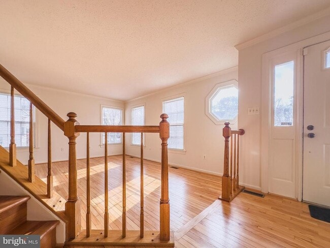 Photo - 14342 Brookmere Dr