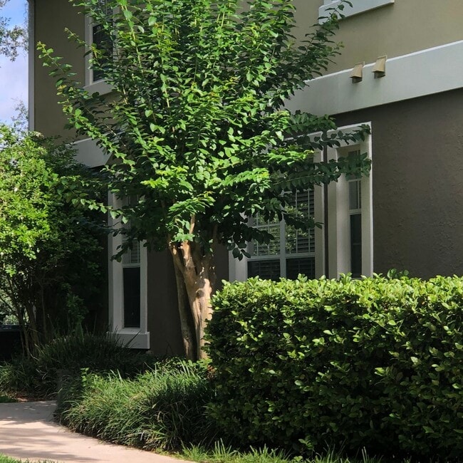 Building Photo - 538 Climbing Ivy Ct