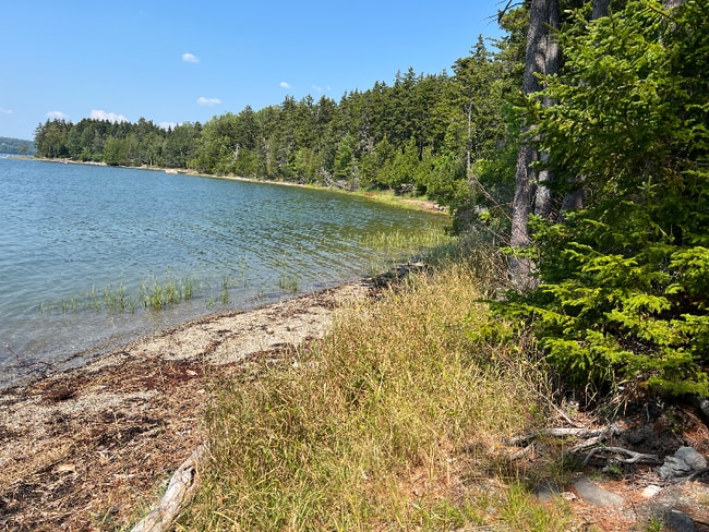 Photo - 68 Bonsey Ln