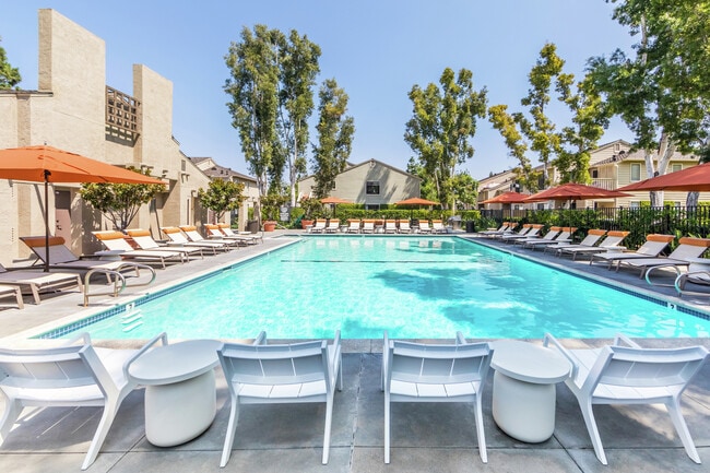 Windwood Knoll Apartment Homes