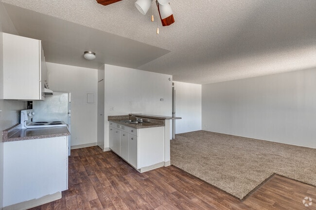1 BR, 1 BA - 700 SF