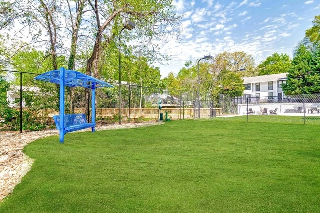 Brand New Dog Park