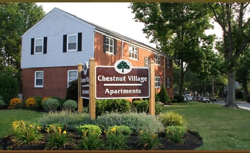 Chestnut Village - Chestnut Village