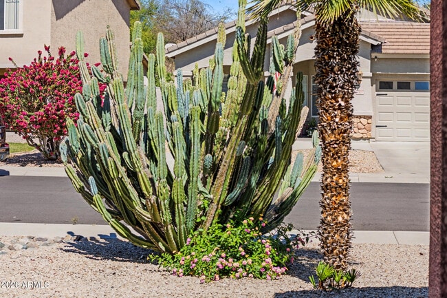 Building Photo - 8373 W Mary Ann Dr