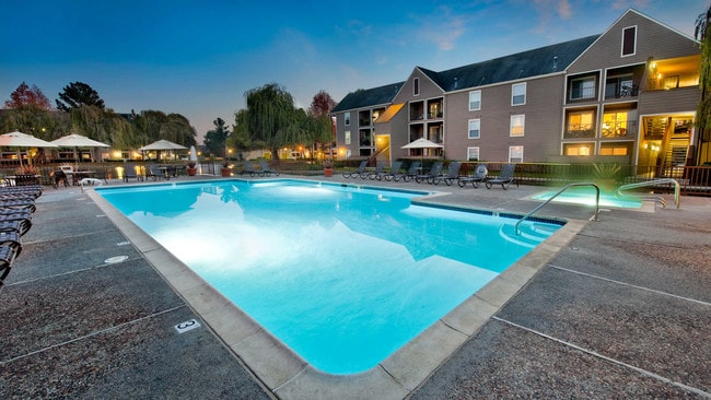 Building Photo - Riva Terra Apartments at Redwood Shores
