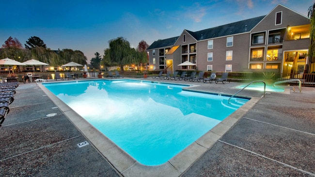 Piscina climatizada - Riva Terra Apartments at Redwood Shores