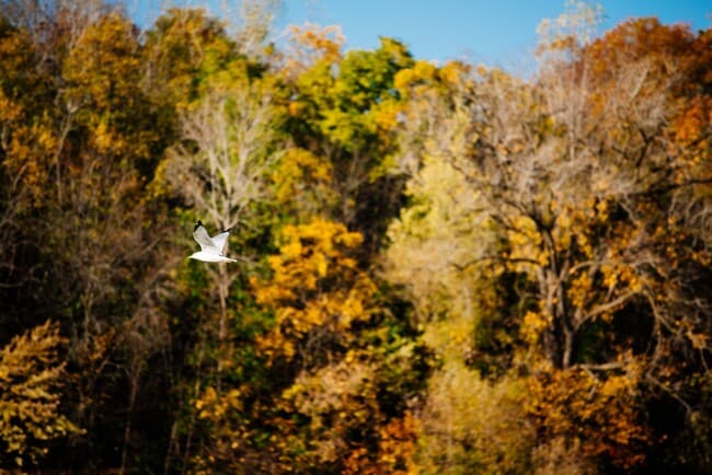 Photo - RiverHeath