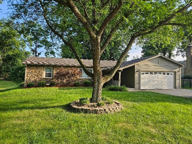 Building Photo - 569 Meadow Dr Rental