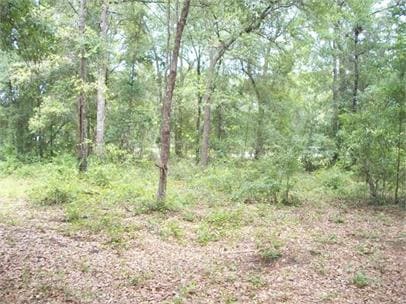 Photo - 8697 Wide Rd