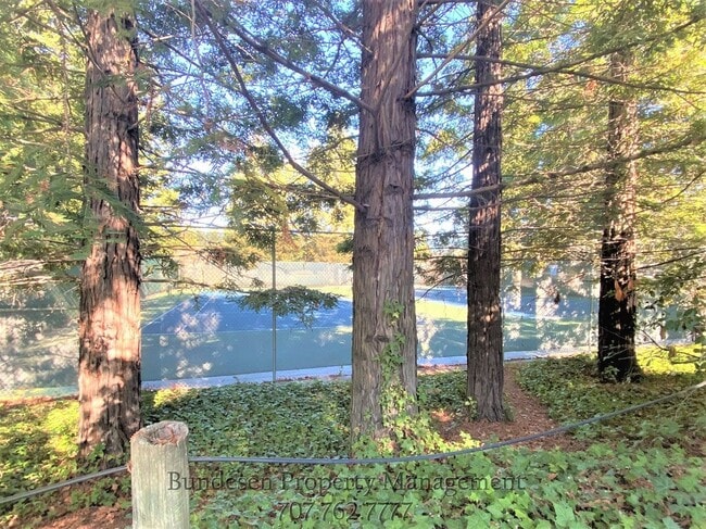 Photo - 1702 Algol Ct