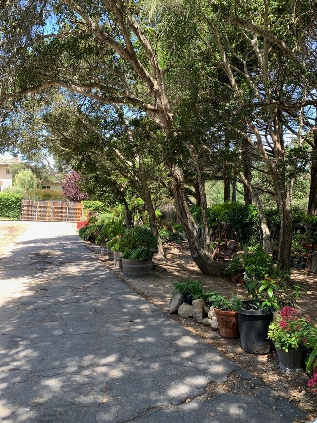 Photo - Wonderful 3 bedroom, 2 bathroom house in the Jacks Peak area