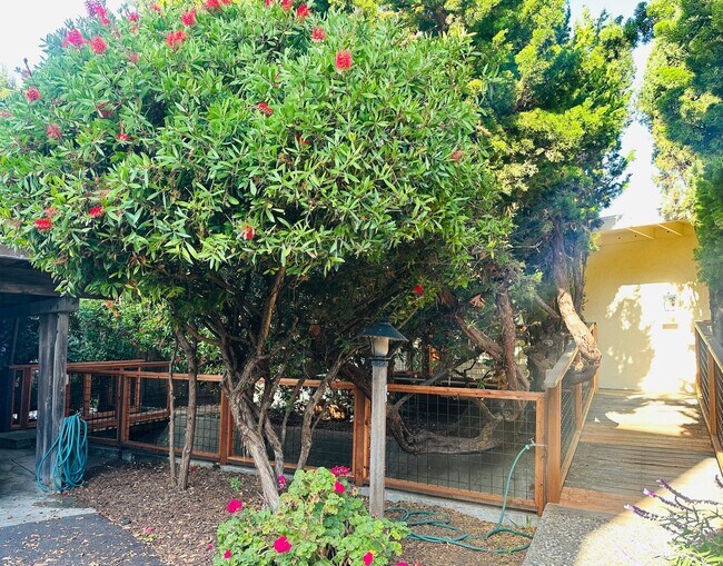 Building Photo - Chabot 4-plex Unit 6139 Chabot Rd