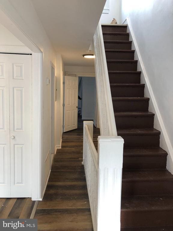 Photo - 1431 Wolf St