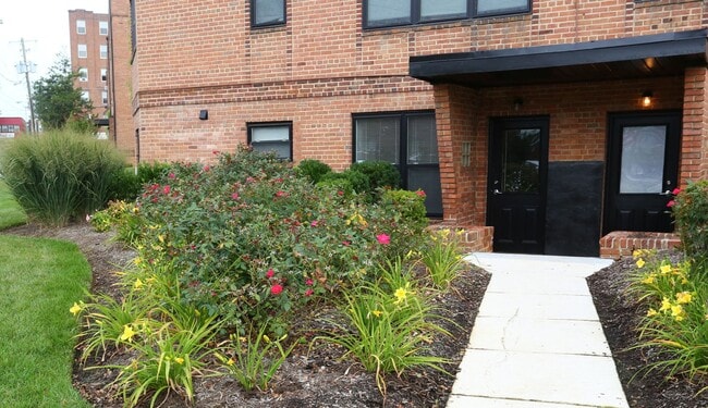 Takoma Flats - Downtown Silver Spring