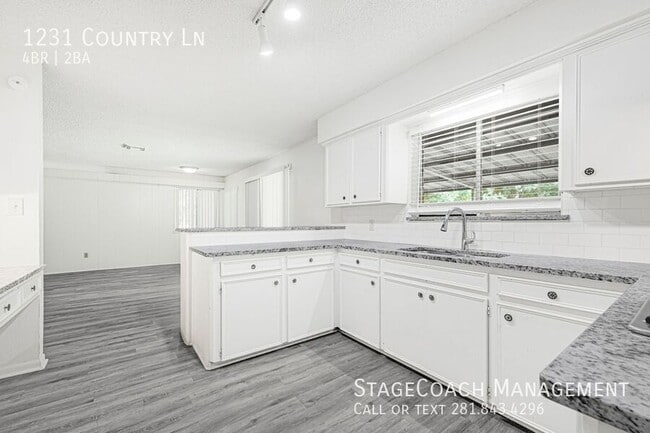 Building Photo - 1231 Country Ln Rental