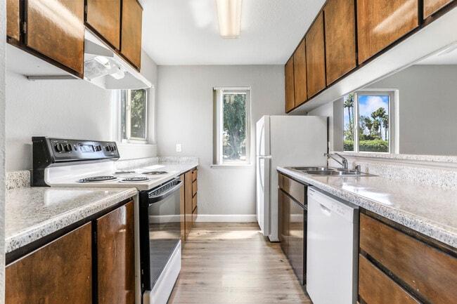 Photo - Venetian Bridges