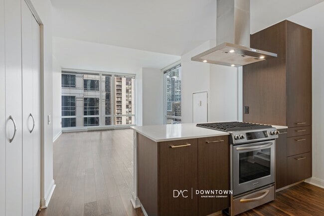 Photo - 203 N La Salle Dr Unit 1