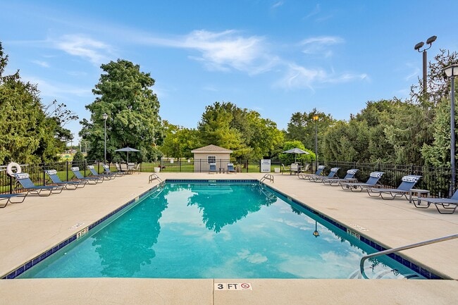 Refreshing swimming pool