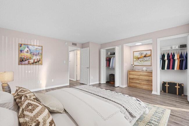 1 Bed 1 Bath | Closet Space
