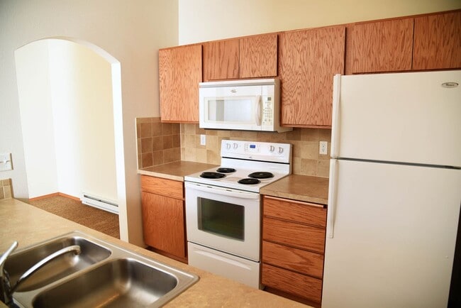 Photo - The Lusitano