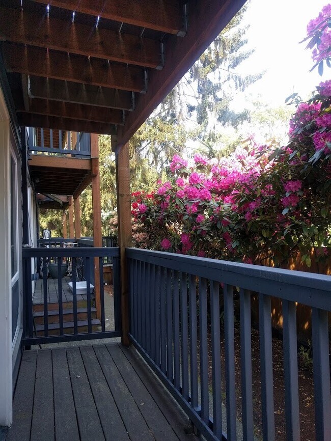 Photo - Marine Vista