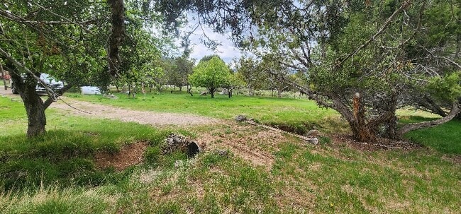 Photo - 6231 309rd