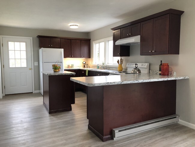 Kitchen view 1 - 1020 Danby Rd House