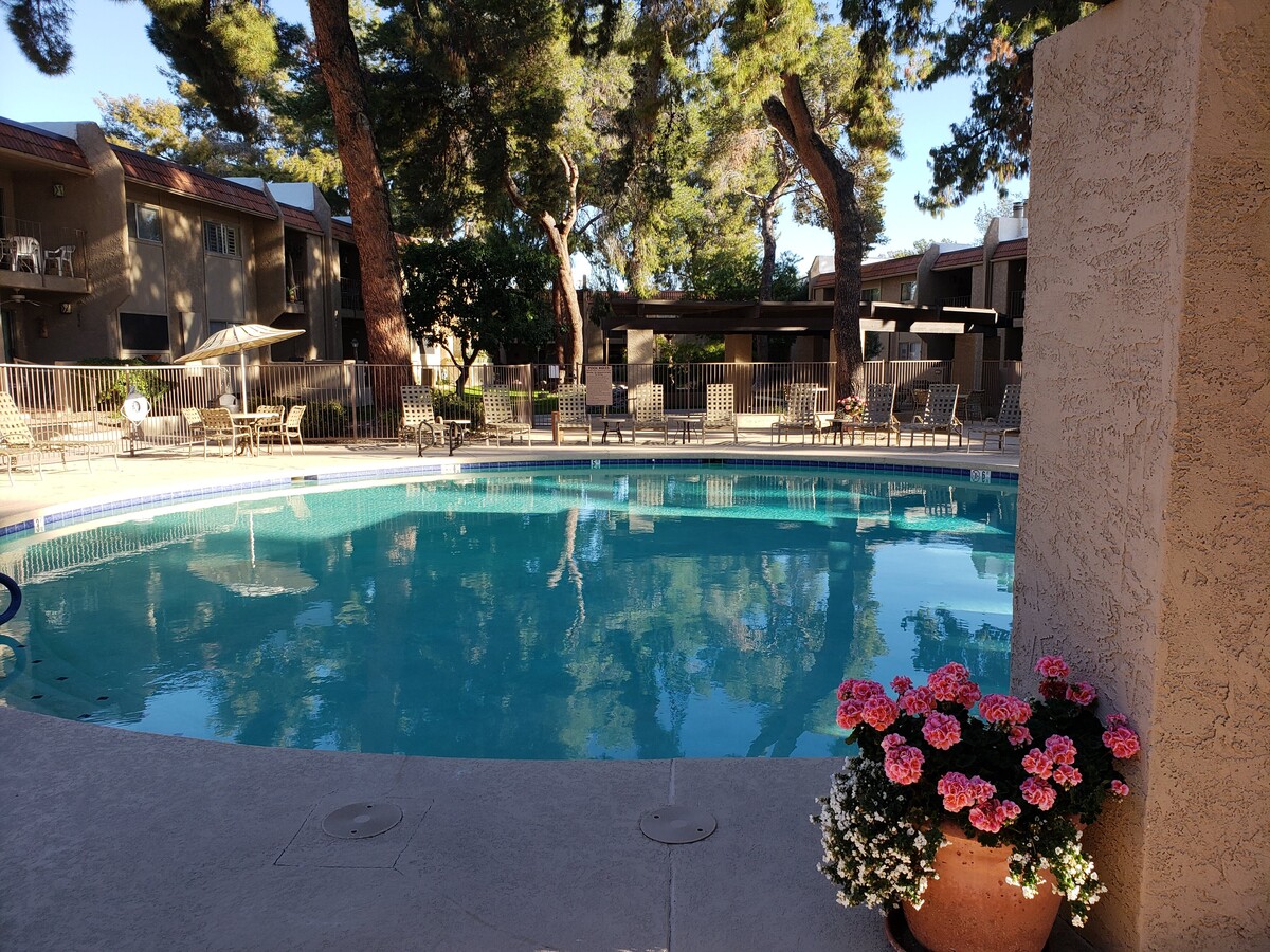 One of the pools - 7430 E Chaparral Rd Unidad #108A Rental