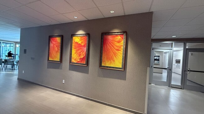 Photo - 801 South St Unit 3804