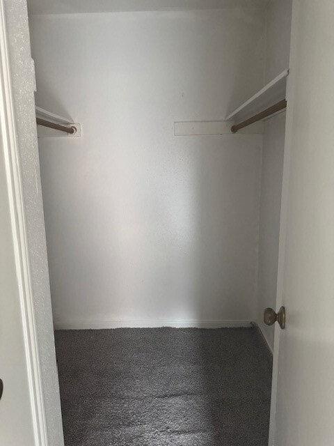 Photo - 10106 Prairie Mist St