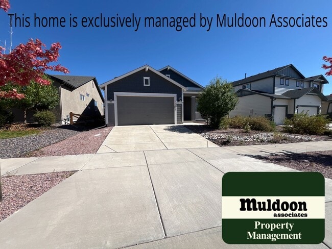 Building Photo - Immaculate Banning Lewis rancher