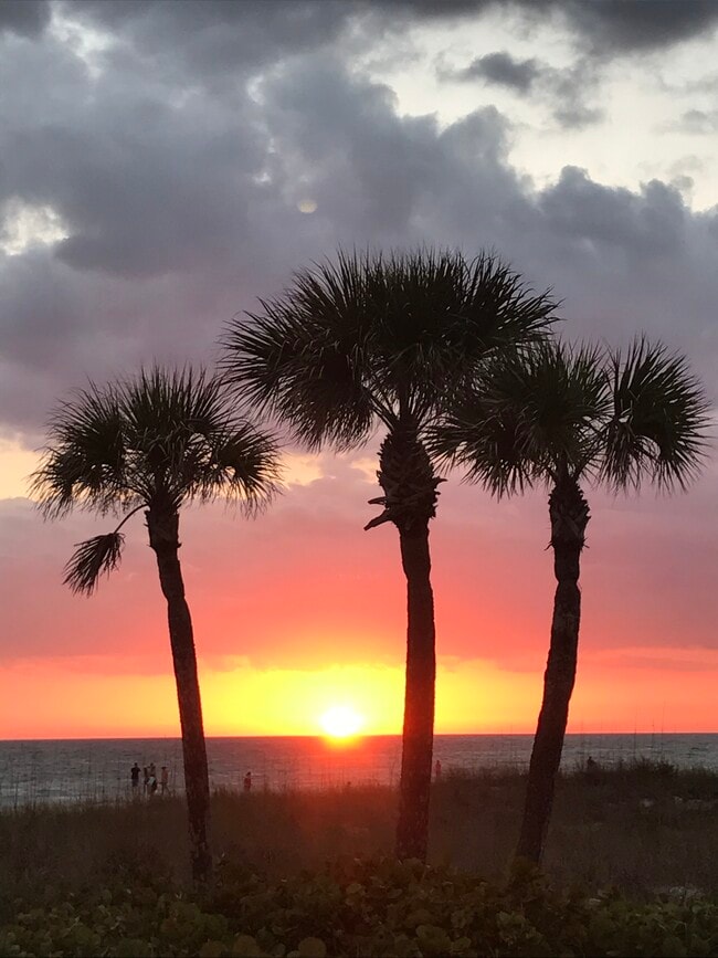 Photo - 2439 Terry Ln