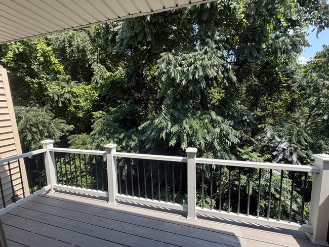 View from Deck