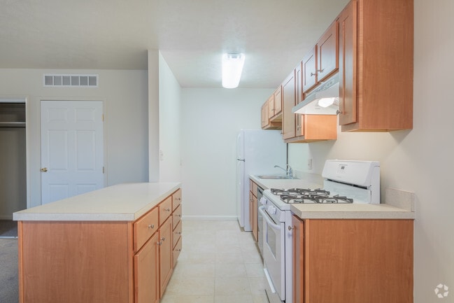 Chamberlain-Kitchen 1 Bedroom