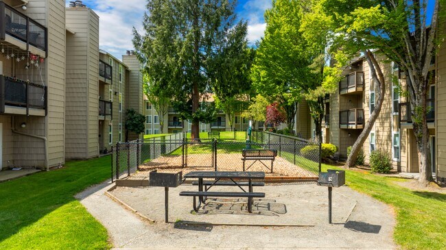 Community bbq and picnic space