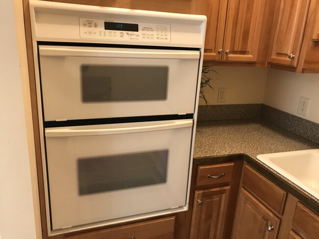 Microwave/Oven - 4640 Chestatee Pointe Unit A