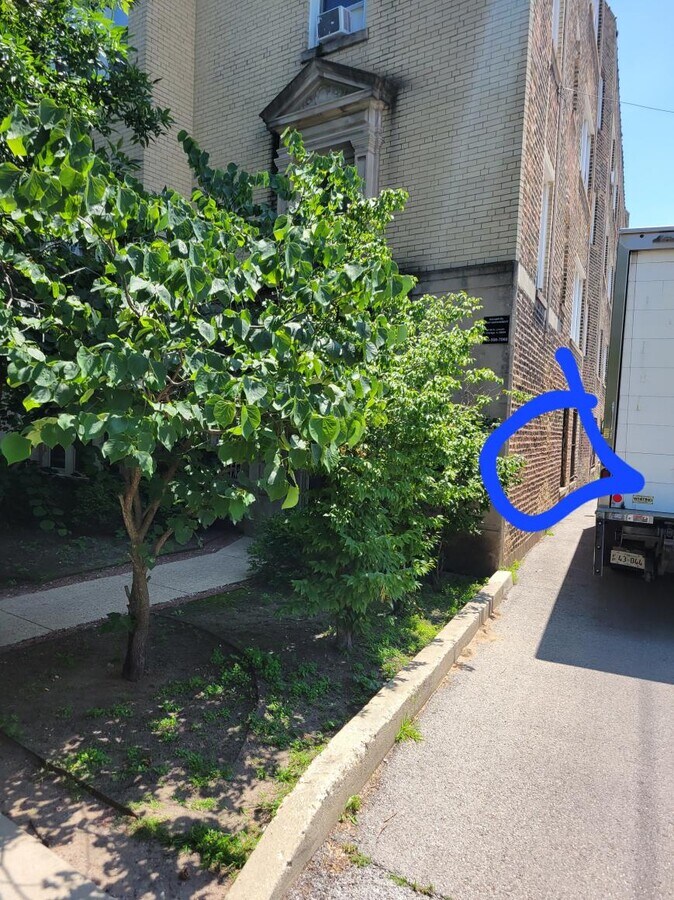 Photo - 1 bedroom in Chicago IL 60626 Unit 301