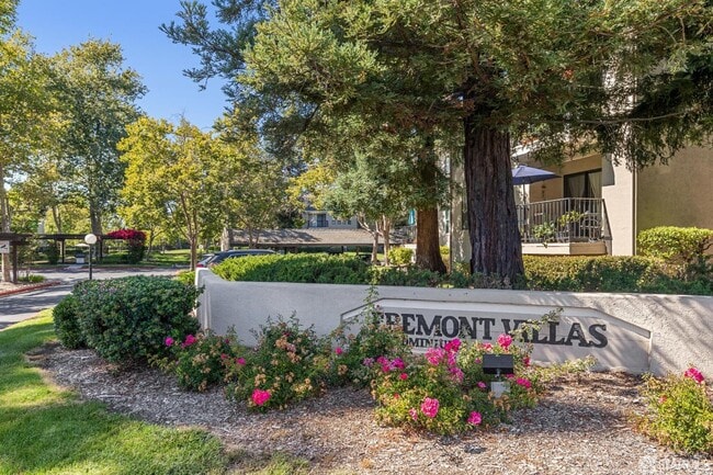 Photo - 1910 Barrymore Common