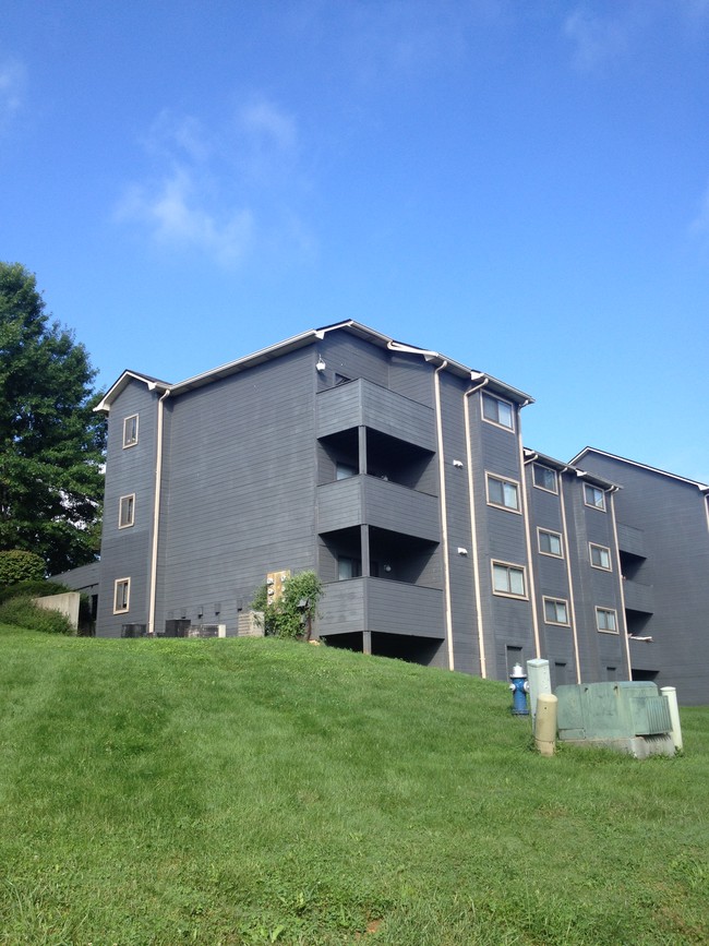 Back view - The Villas of Pine Valley Rental