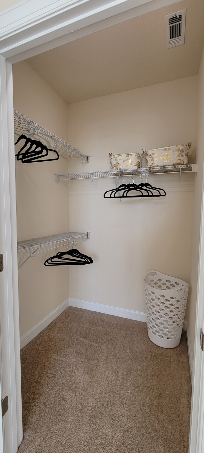 closet area - Palisades at Waters Edge
