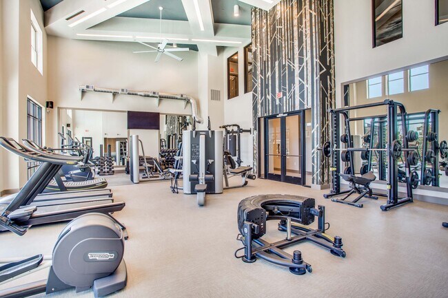Gimnasio con equipos de entrenamiento cardiovascular y de musculación