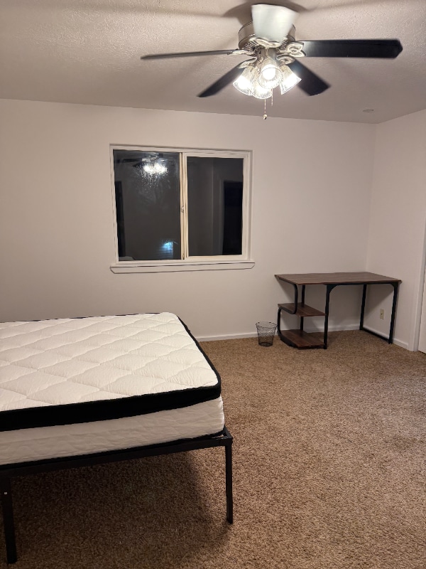 Photo - 1319 W Hasket Cir