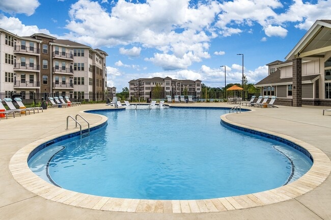 Photo - Sycamore at Christenbury