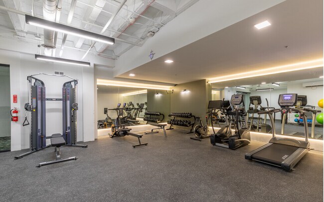 Ivy Lofts