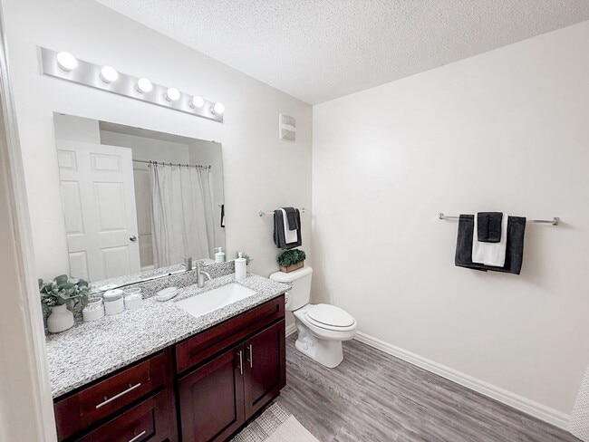 Bathroom Area