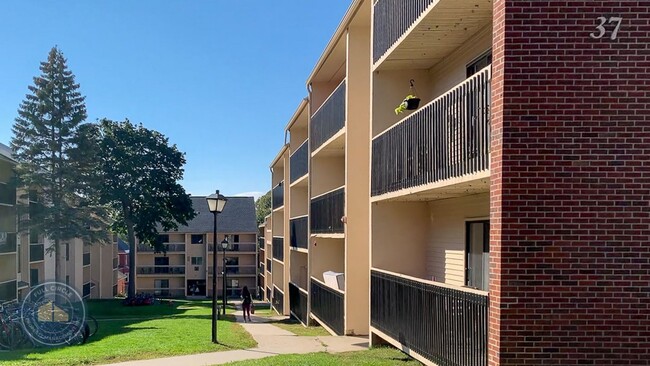Building Photo - 37 S Williams St Unit Hill Gardens #214 Rental
