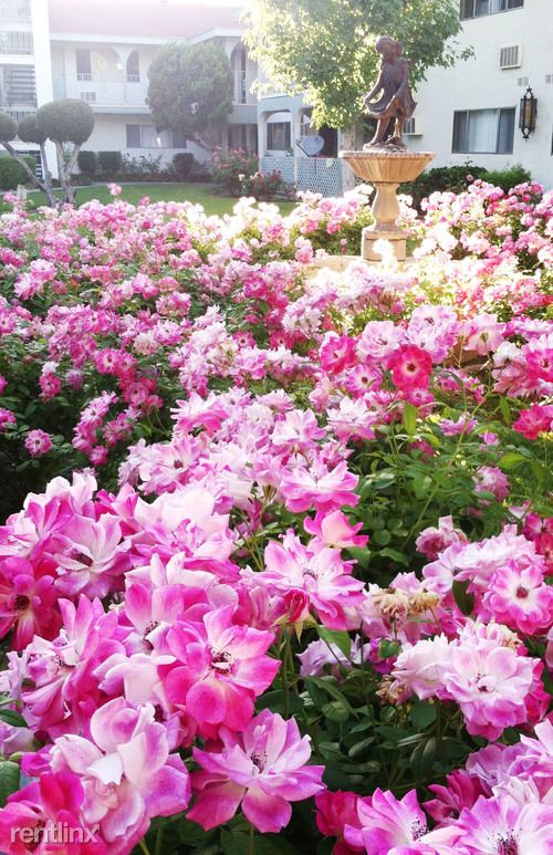 Photo - 2828 W Lincoln Ave