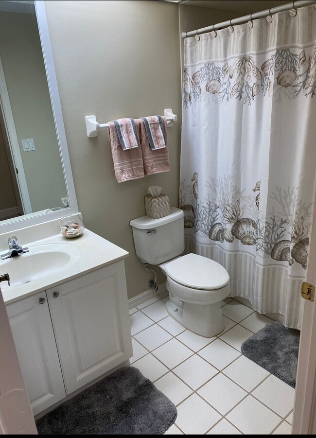 Guest bathroom - 7505 Silver Trumpet Ln Unit #102